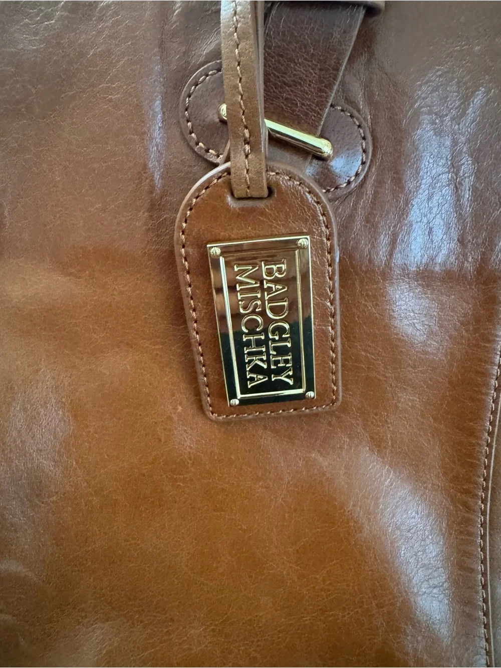 Badgley Mischka Chestnut Brown Leather Studded Tote Without Strap